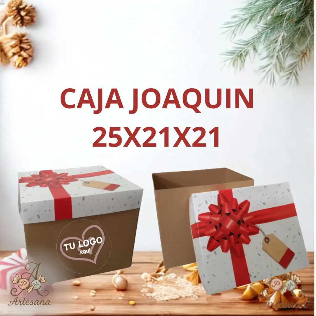 CAJA JOAQUIN 25X21X21✅